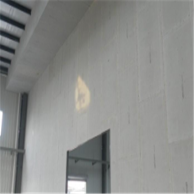 吕梁宁波ALC板|EPS加气板隔墙与混凝土整浇联接的实验研讨